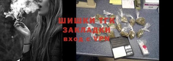 дживик Абинск