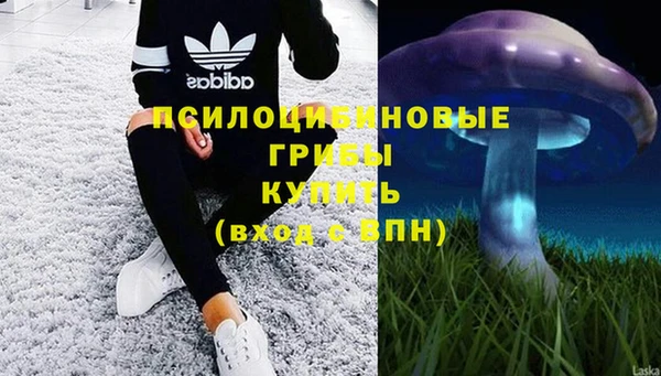 Альфа ПВП Абаза