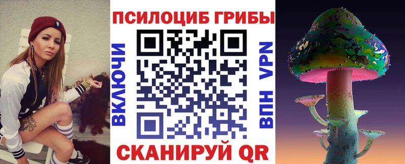 Псилоцибиновые грибы мицелий  купить наркотики сайты  Астрахань 