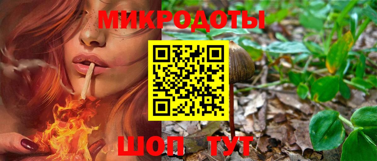 Галлюциногенные грибы мицелий Астрахань