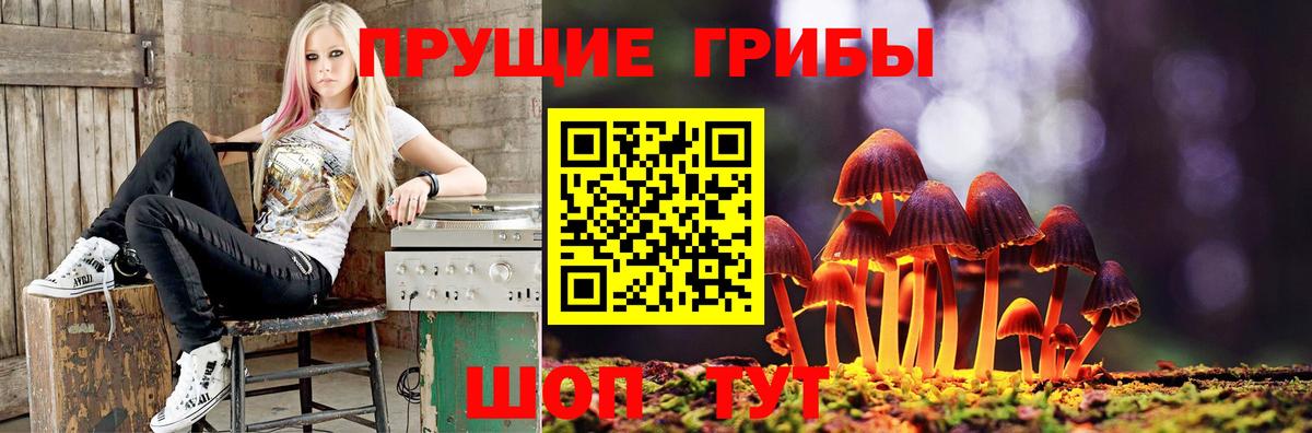 Галлюциногенные грибы мицелий  Вход с VPN  Псилоцибиновые грибы прущие грибы  Астрахань 